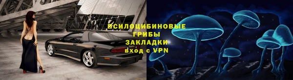 альфа пвп Снежногорск