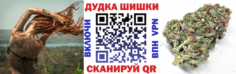 Каннабис сатива  где найти   Новосокольники 